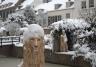 Veelzijdig winter arrangement Hotel de Tabaksplant Amersfoort Veelzijdig winter arrangement Hotel de Tabaksplant Amersfoort