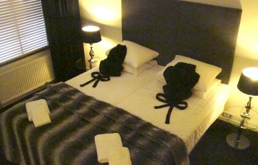 suite sauna detail hotel de tabaksplant extra lang bed 2.20 lange mensen suite hotel amersfoort de tabaksplant sauna in de hotelkamer met gratis badjassen