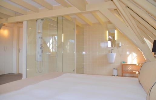 suite met 100% transparante en-suite jett stream douche en toilet