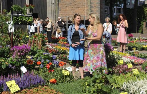 Amersfoort bloemenmarkt in de centrum bij Hotel de Tabaksplant 