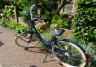 Onze stoere fietsen Stoere fiets huren bij Hotel de Tabaksplant in Amersfoort
