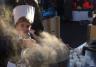 Smaak van de Streekmarkt - Amersfoort Smaak van de Streekmarkt - Amersfoort