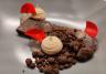 kerst 2020 in Hotel de Tabaksplant met Bistro Bloemendaeltje kerst 2020 in Hotel de Tabaksplant met Bistro Bloemendaeltje
